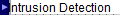 Intrusion Detection